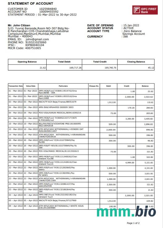 Szablon wyciągu bankowego India HDFC, format Word i PDF, 2 strony, Wersja 2